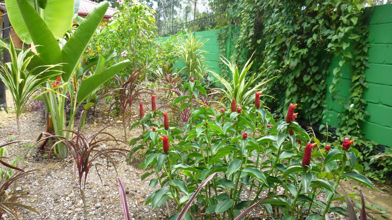 Kekemba Apartments Paramaribo Eksteriør billede